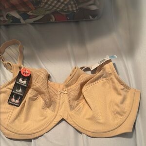 Lilyette bra in tan size 42C NWT